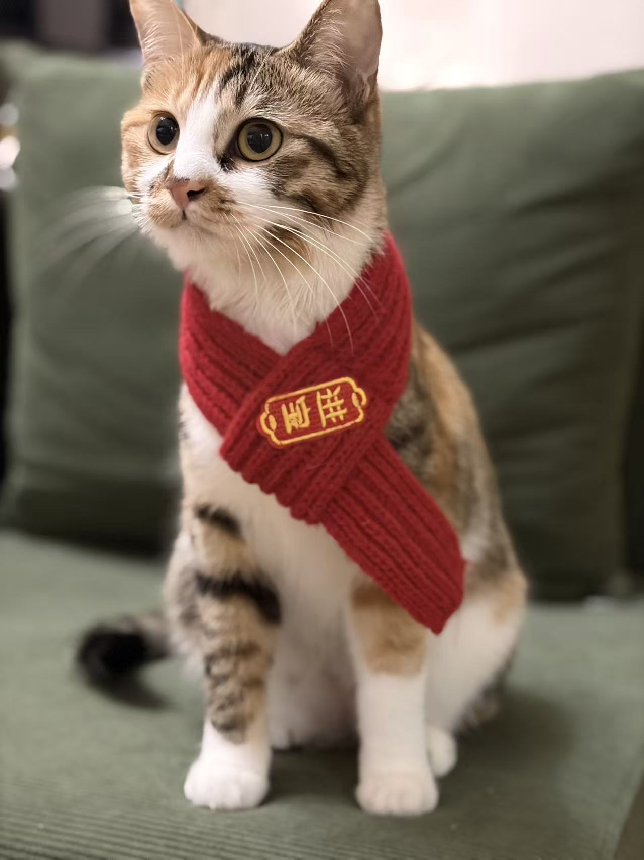 Perry wearing a red scarf